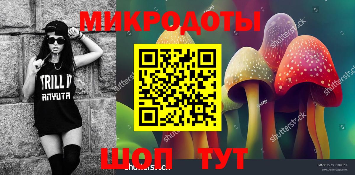 Псилоцибиновые грибы Psilocybe  Псилоцибиновые грибы Cubensis  Сальск  Вход с VPN 