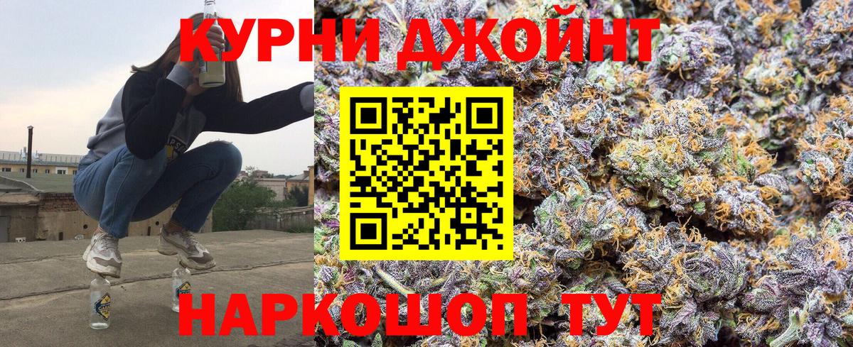 Канабис гибрид Сальск